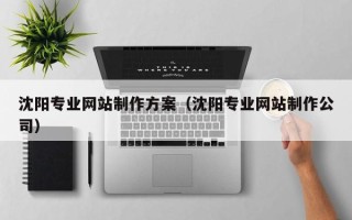 海口沈阳专业网站制作方案（沈阳专业网站制作公司）